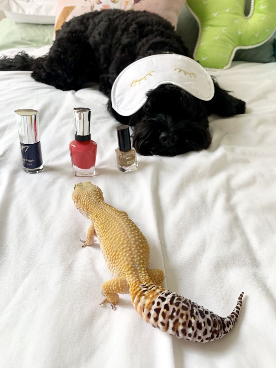 Unlikely Friends Become Costume Buddies! Unlikely Friends Become Costume Buddies!