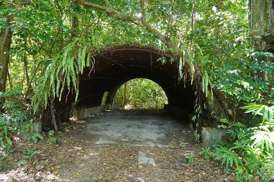 I Visited Peleliu Island Home To One Of The Bloodiest Battle In Ww2