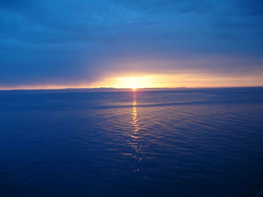 Three Photos Of Marine Nature