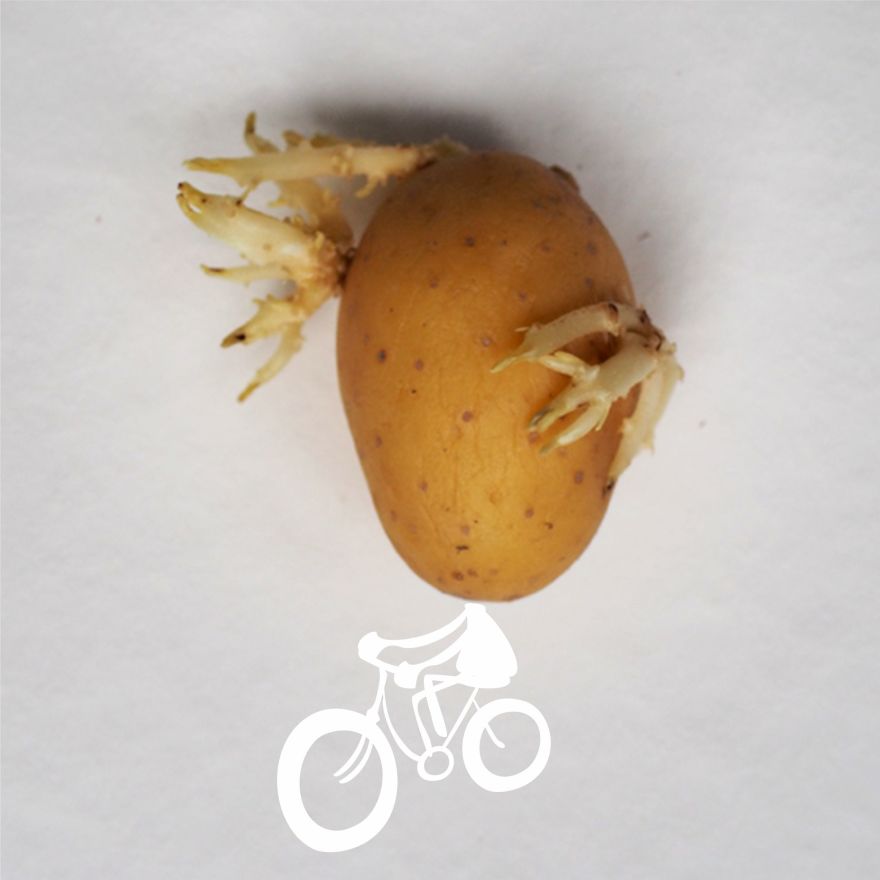 Soon You'll Be Able To Be A Cycling Potato