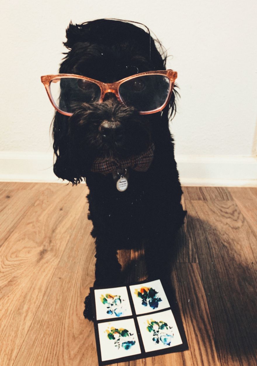 Unlikely Friends Become Costume Buddies! Unlikely Friends Become Costume Buddies!