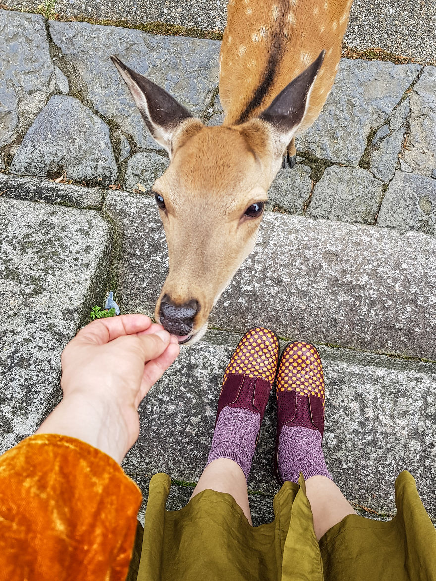 My Traveling Feet