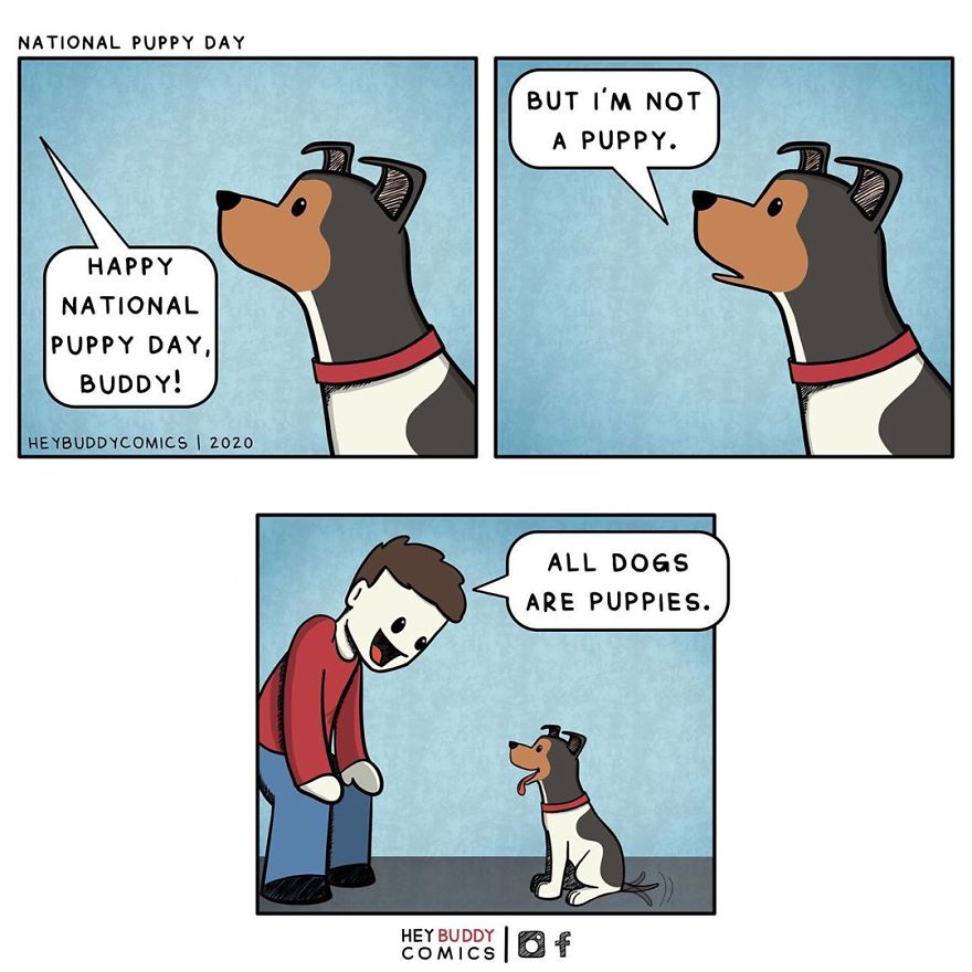 Here Are My Comics Inspired By My Dog That Most Dog Owners May Relate To (23 New Pics)