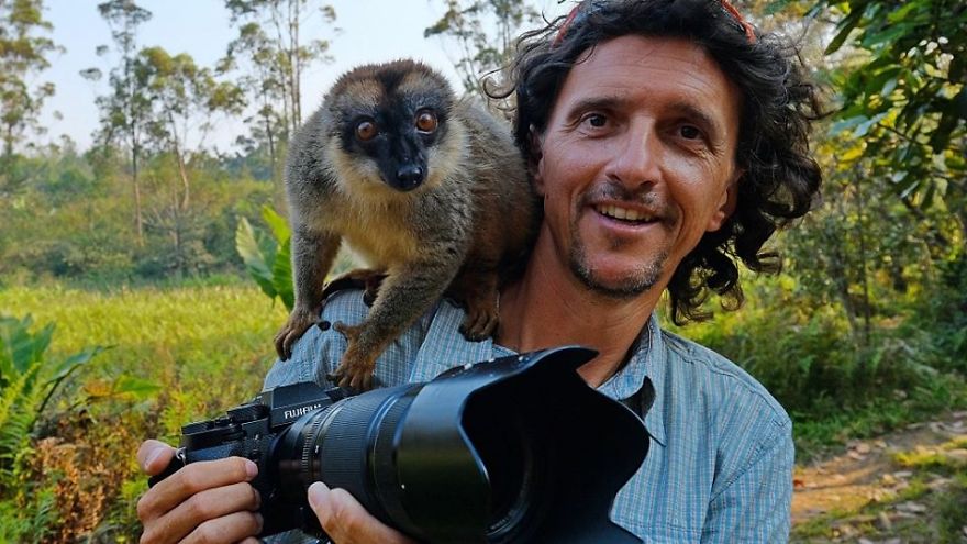 Hilarious Moment A Lemur Tries To Steal Camera From Photographer's Hands