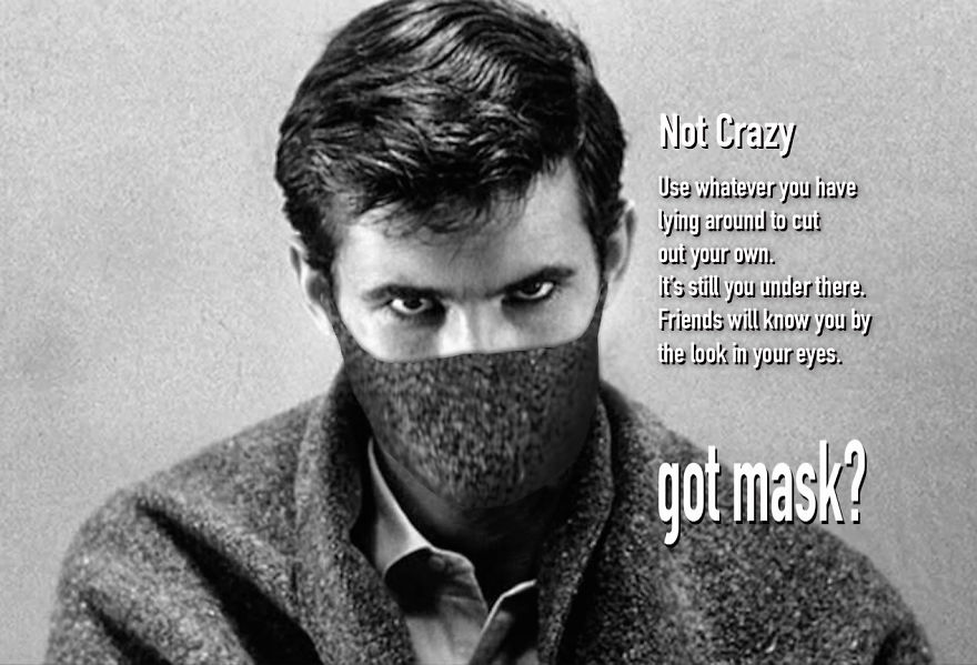 I Create Spoof Ads Supporting The Use Of Masks I Create Spoof Ads Supporting The Use Of Masks
