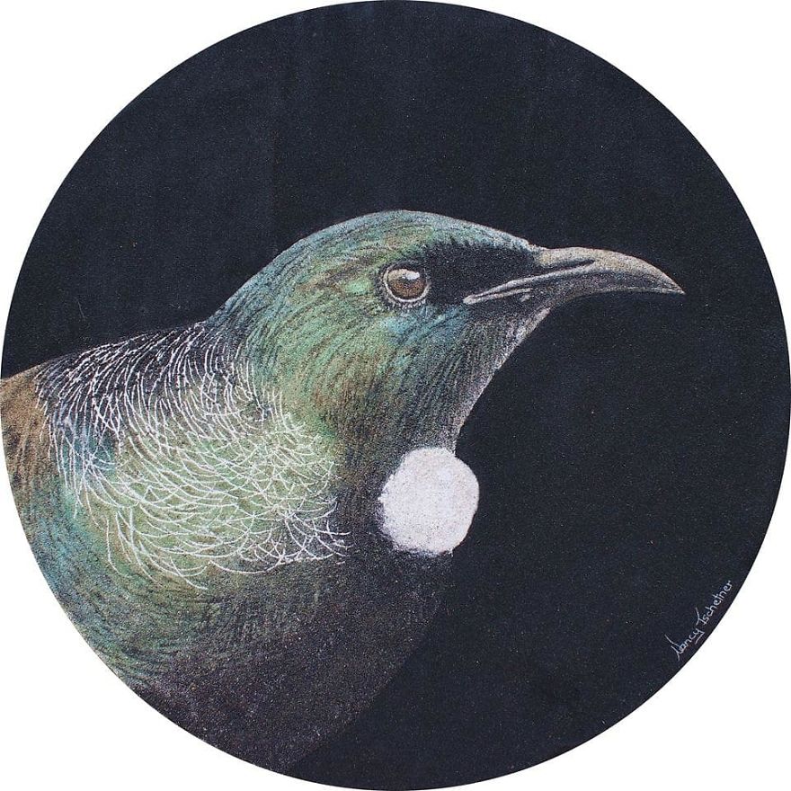 Part Of My Bird Sand Painting Art Collection