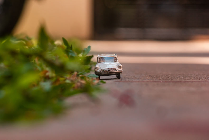 My Roadtrip Was Canceled, So I Did A Miniature Shoot In My Garden