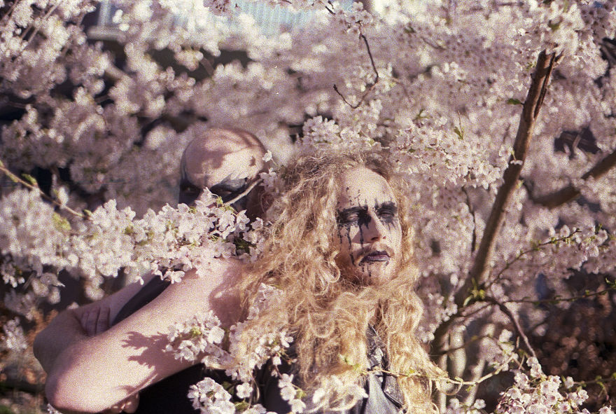 I Photographed My Friends In Corpsepaint And Pink Sakura Flowers On 35mm