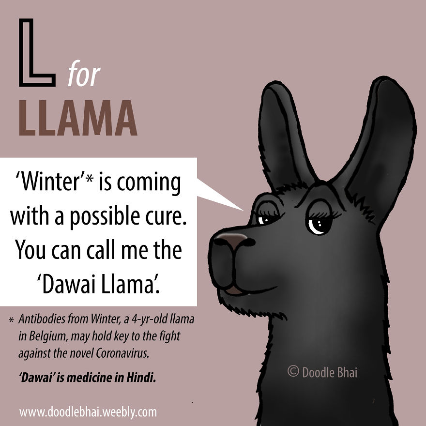 L For Llama