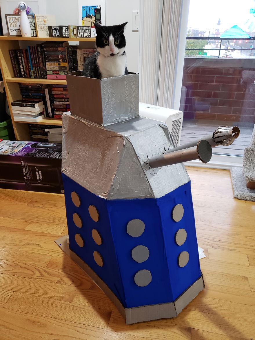 I Built This Dalek For My Cats Out Of Cardboard Boxes, And Topsy And Turvy Are Thrilled