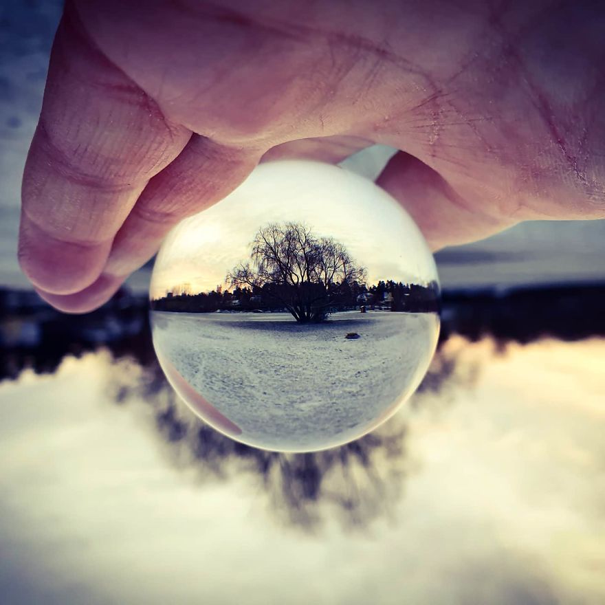 Tree Through A Lensball