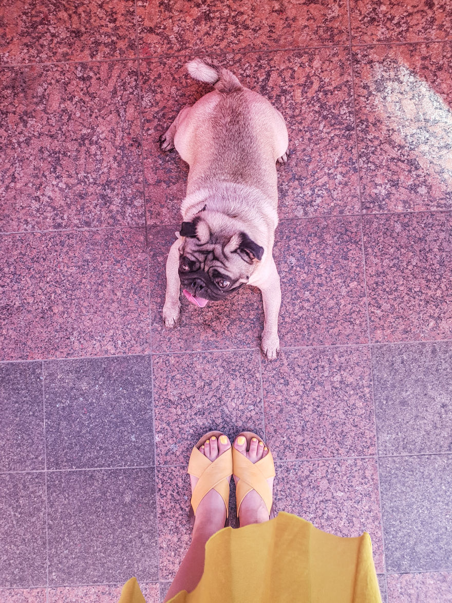My Traveling Feet