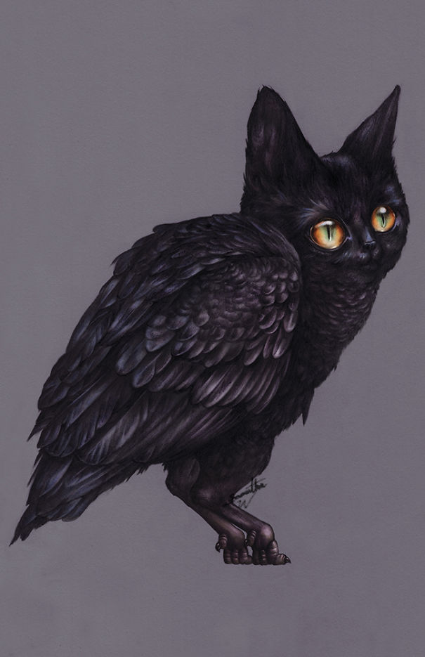 I Have Spent My Quarantine Drawing My Imaginary Pets.