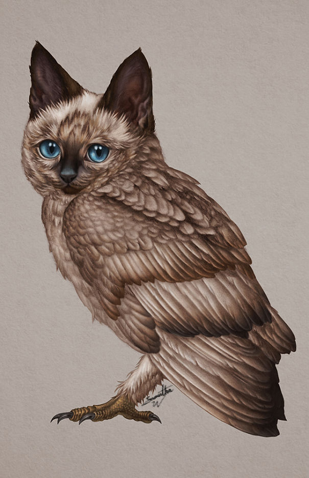 I Have Spent My Quarantine Drawing My Imaginary Pets.