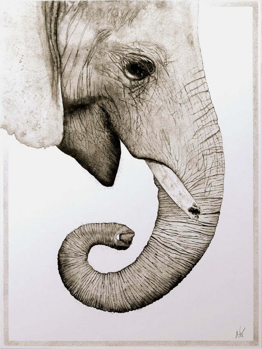 Sand Paintings In Support Of The African Elephants Sand Paintings In Support Of The African Elephants