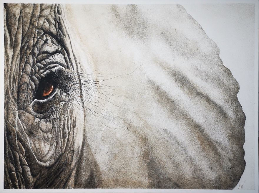 Sand Paintings In Support Of The African Elephants Sand Paintings In Support Of The African Elephants