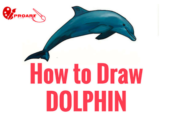 5+ Easy Step - How To Draw Dolphin