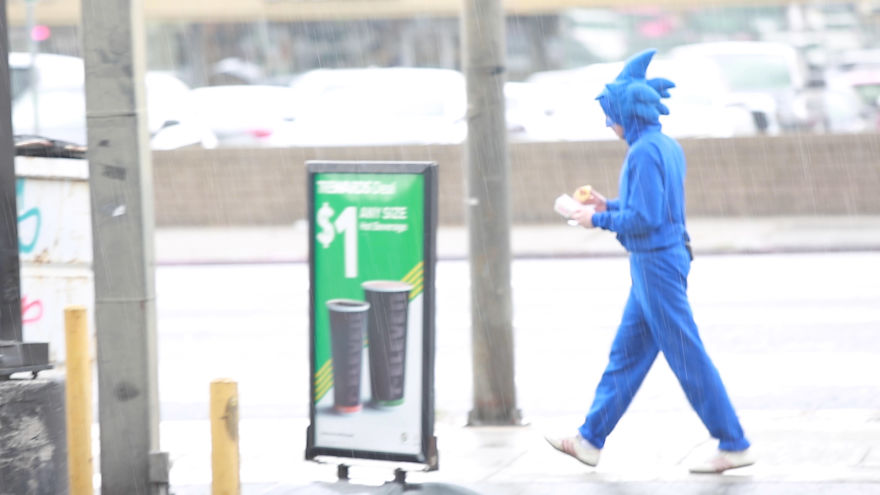 10+ Pictures Of What The Old Sonic Would Be Like In Real Life