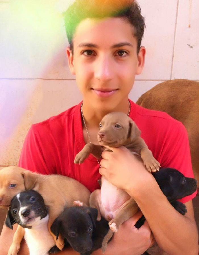 17-Year-Old Opens A Unique Animal Shelter And He Has Already Rescued 22 Dogs And 4 Cats