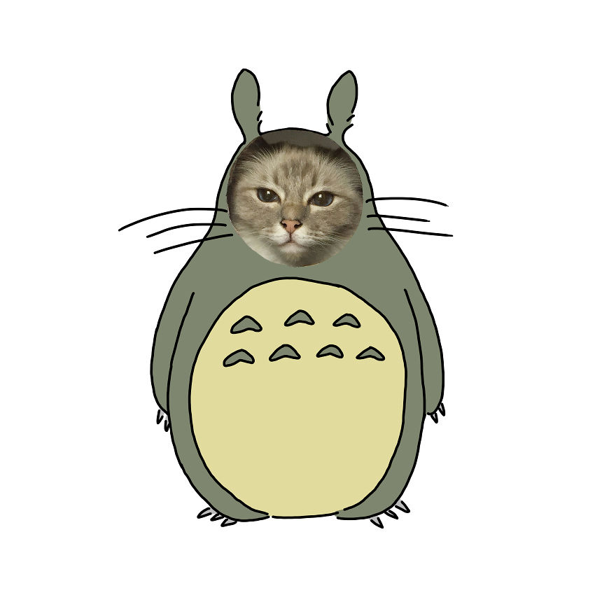 Fun Lockdown Project With My Cats Fun Lockdown Project With My Cats