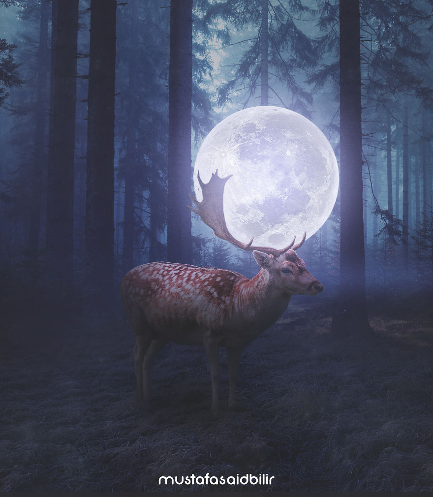 12 Photo Manipulations And 3D Works I Created