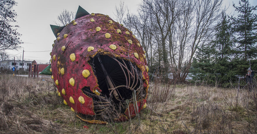 We Captured This Huge, Abandoned Strawberry Twice - In The Springtime And In The Wintertime. The Difference Is Significant! (10 Pictures)