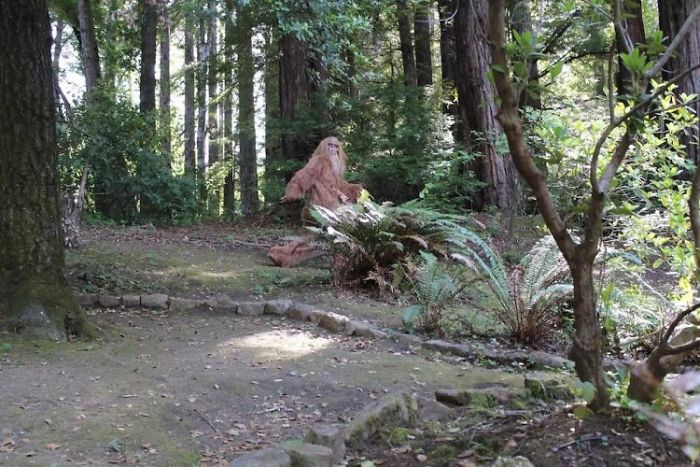 Someone Posed As Bigfoot In This $999,000 House Listing And The Photos Are Hilarious