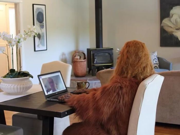 Someone Posed As Bigfoot In This $999,000 House Listing And The Photos Are Hilarious