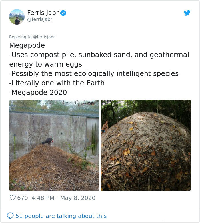 Megapode
