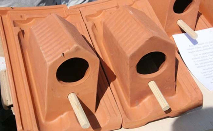 These Multipurpose Roof Tiles Also Provide A House For Birds