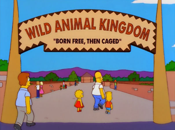 born-free-then-caged-5ebac34dad379-png.jpg