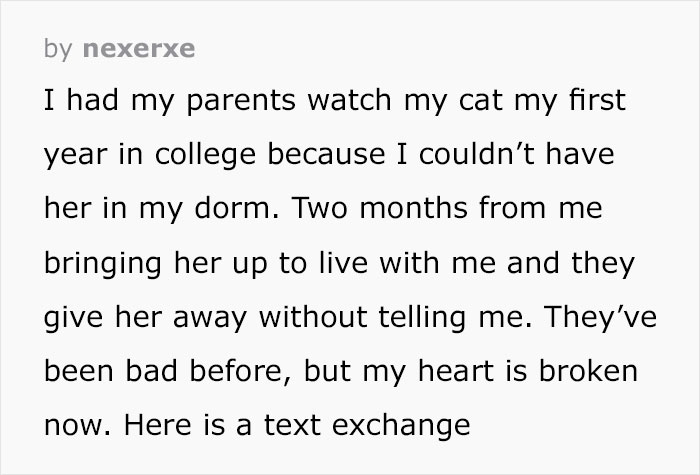 Person Has Their Parents Watch Their Cat During Their First Year Of College, Parents Secretly Give It Away