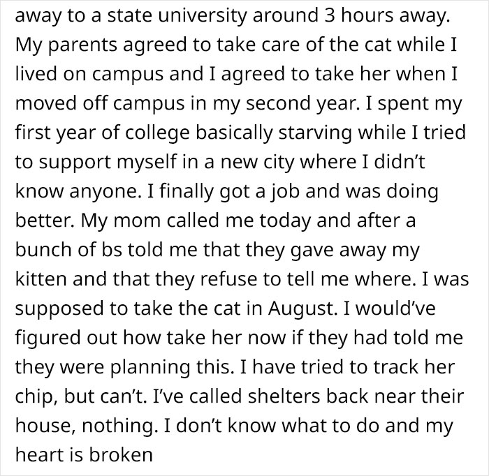 Person Has Their Parents Watch Their Cat During Their First Year Of College, Parents Secretly Give It Away