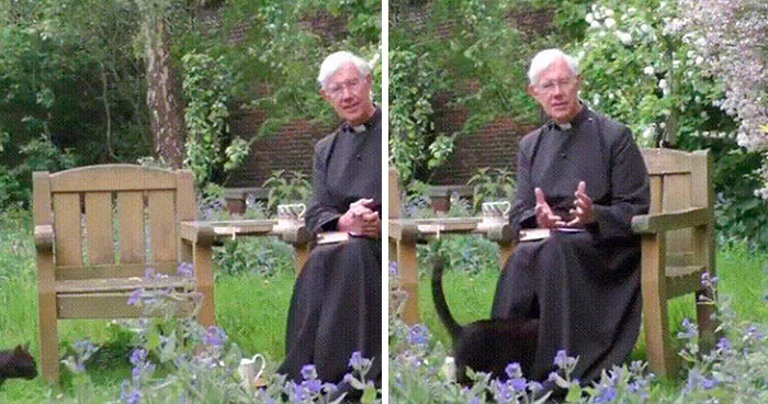 Pussycat Disappears Inside A Priest’s Cassock, Hilarious Comments Ensue