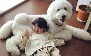 Family's 3 Poodles Have A Special Bond With Their Little Brother And Sister (30 Pics)