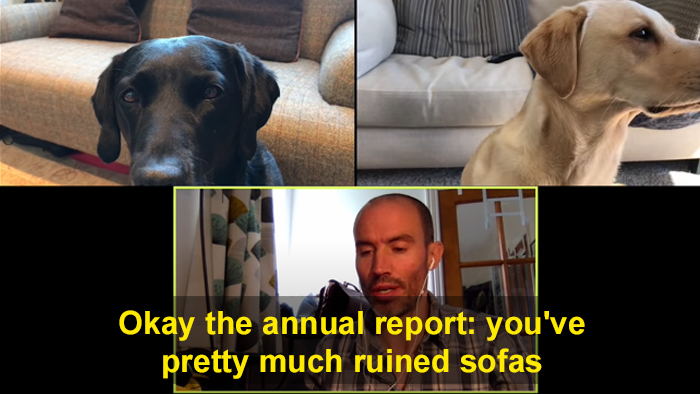 BBC Sports Broadcaster Stuck With Nothing To Report Decides To Hold A Meeting With His Two Dogs And The Video Goes Viral