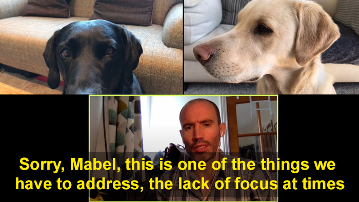 BBC Sports Broadcaster Stuck With Nothing To Report Decides To Hold A Meeting With His Two Dogs And The Video Goes Viral