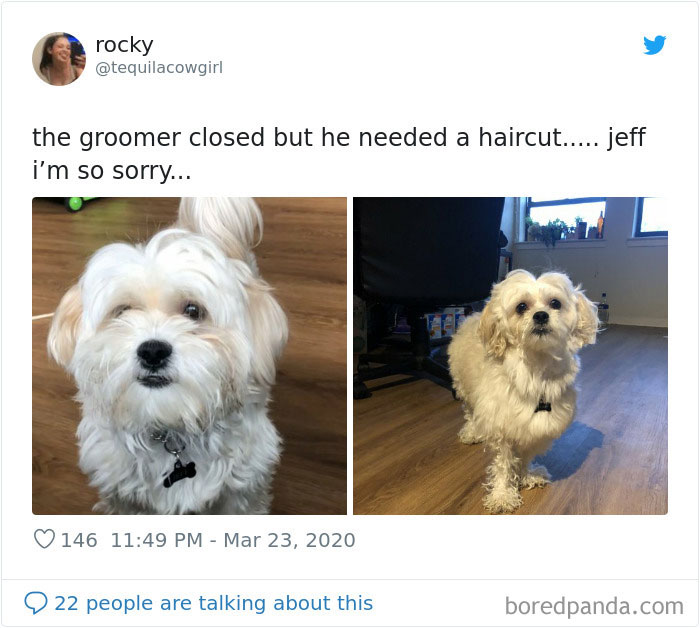 Jeff Got A New Haircut