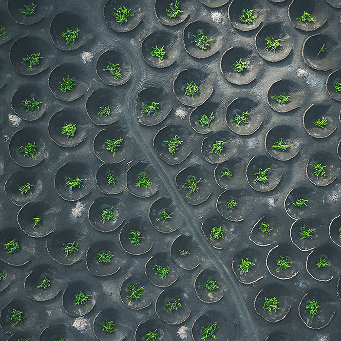 12 Earth Patterns Captured From Above With My Drone