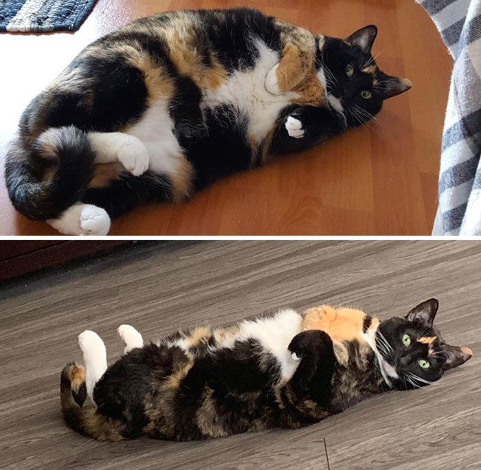 She’s Proud Of The Post-Diet Body