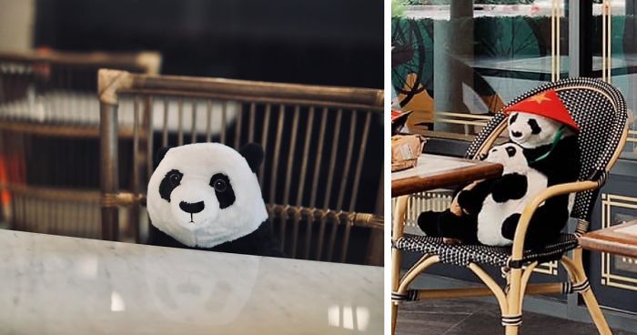 Restaurant Finds A Genius Way To Help Their Customers Feel Less Lonely While Social Distancing Using Pandas (10 Pics)