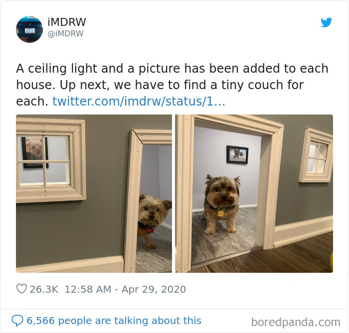 Woman Documents Her Daughter Turning A Spare Room Into A House For Their Dogs