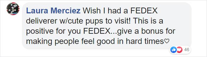 This Fedex Driver Takes His Puppies On Deliveries With Him After Their Daycare Closes
