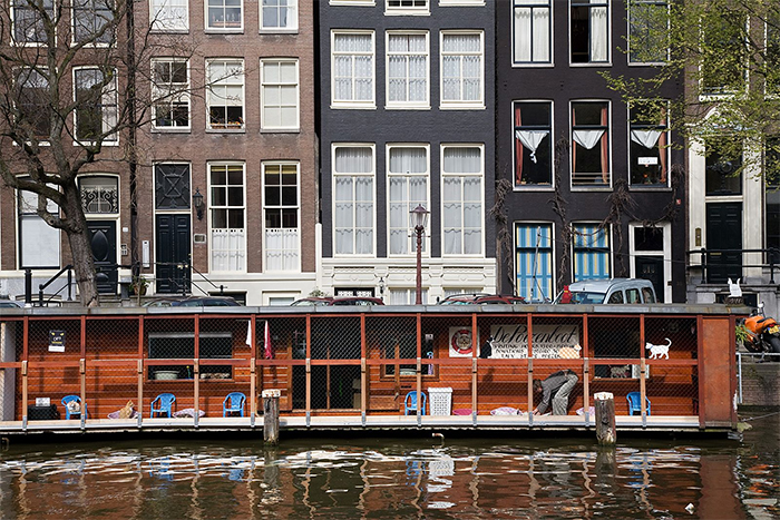People Are Saying That This Floating Cat Sanctuary Is Amsterdam's Best-Hidden Attraction