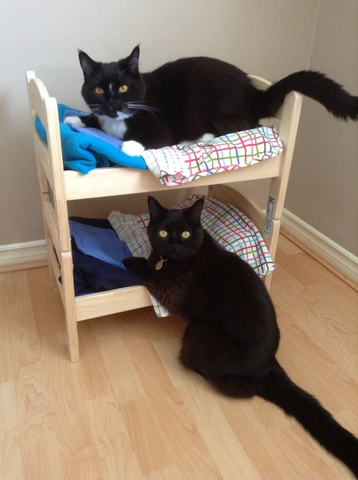 IKEA-Doll-Beds-For-Cats