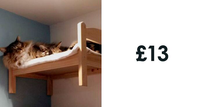 Doll Bunk Beds Ikea Factory Up To, Can Cats Climb Bunk Beds