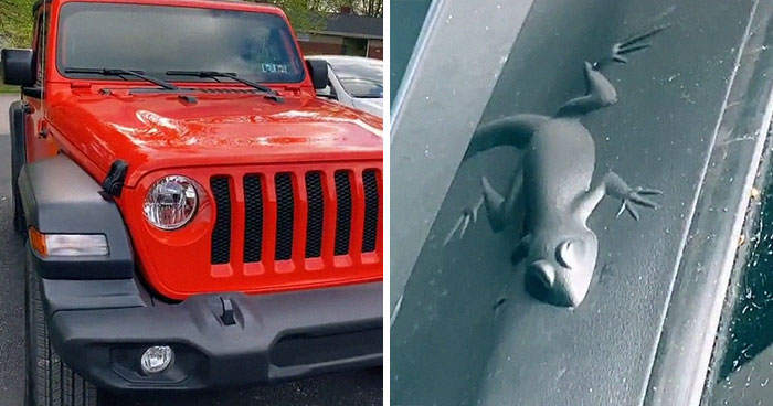 Discover The Mystery And Set Off To The Hunt For Jeep Easter Eggs