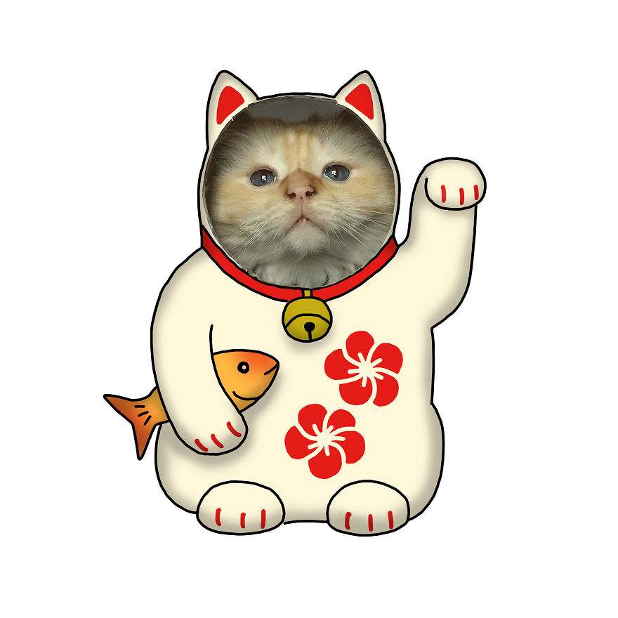 Fun Lockdown Project With My Cats Fun Lockdown Project With My Cats