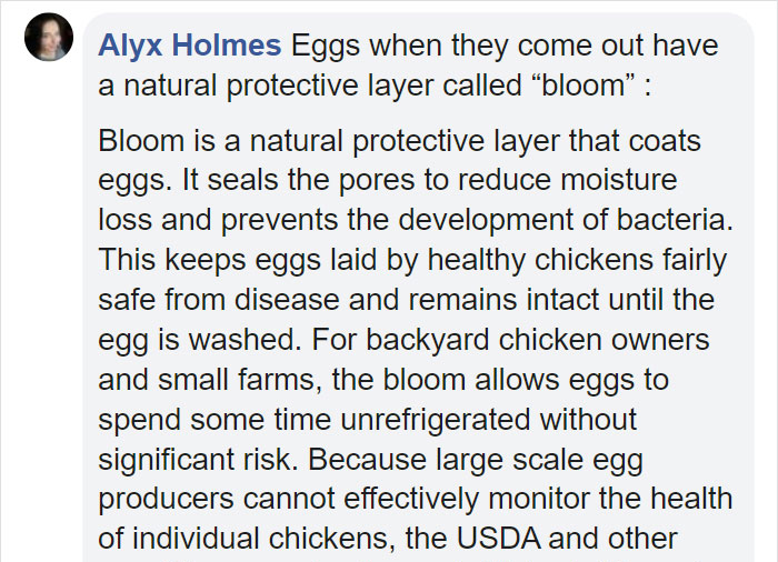 Americans Realize That Almost All Of The Rest Of The World Do Not Buy Refrigerated Eggs And A TikToker Explains Why