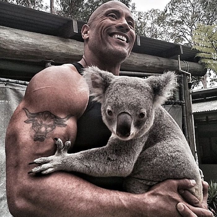 The Time He Held A Koala